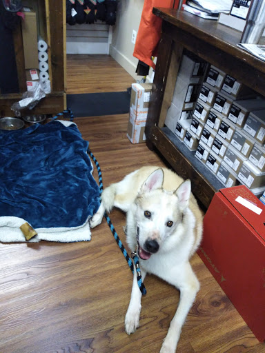 Ski Shop «Pro-Fit Ski & Mountain Sports», reviews and photos, 34 Catoctin Cir SE, Leesburg, VA 20175, USA