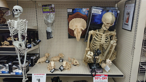 Discount Store «Big Lots», reviews and photos, 3140 Lohr Rd, Ann Arbor, MI 48108, USA