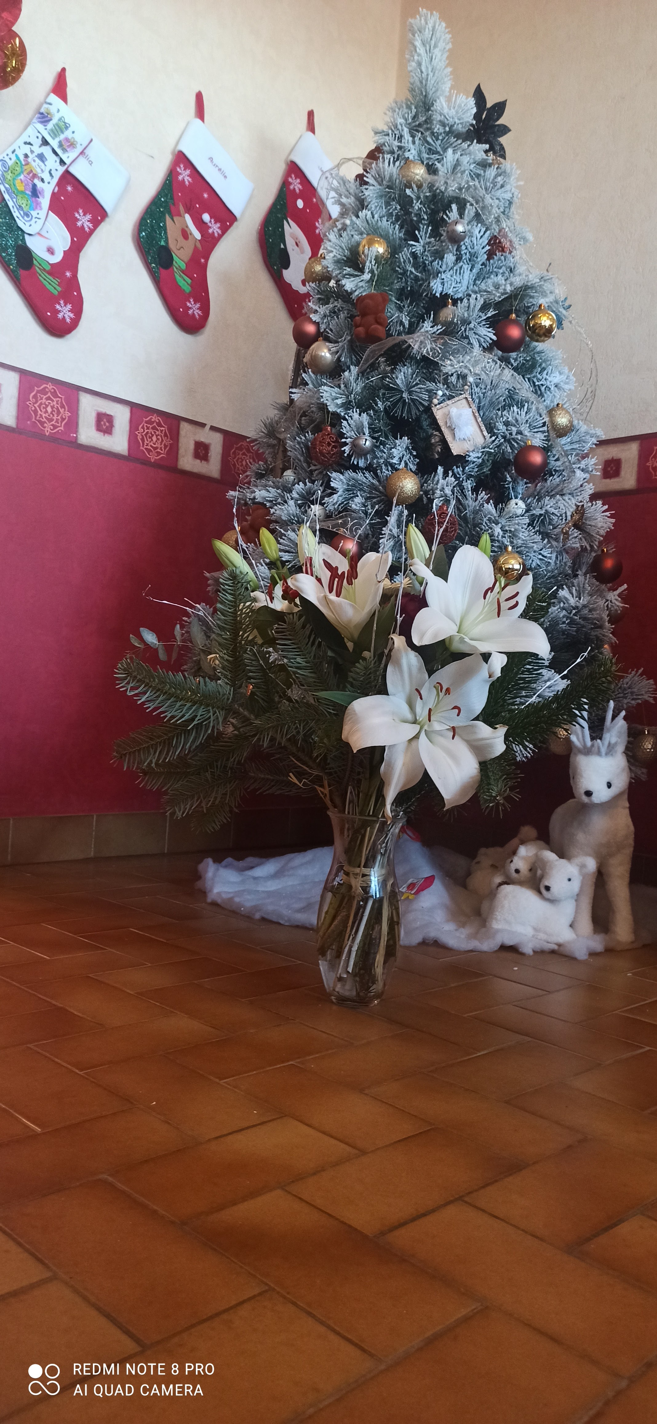 Photo n° 21 de l'avis de Jérémy. fait le 17/12/2021 à 14:40