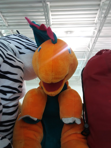 Thrift Store «Goodwill», reviews and photos, 6819 Taft St, Hollywood, FL 33024, USA