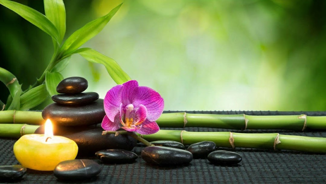 A Blissful Garden Massage & Wellness Melissa Steortz L.M.T.