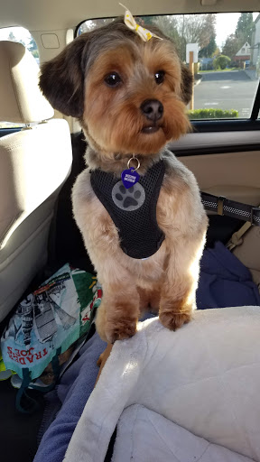 Pet Groomer «Happy Tails Pet Center», reviews and photos, 4370 SE King Rd Ste 260, Milwaukie, OR 97222, USA