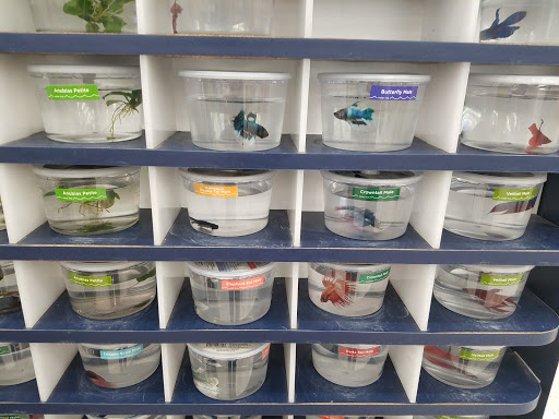 Pet Supply Store «Petco Animal Supplies», reviews and photos, 6067 Greenback Ln, Citrus Heights, CA 95621, USA