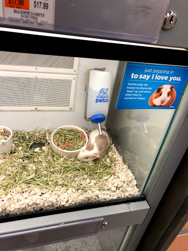 Pet Supply Store «Petco Animal Supplies», reviews and photos, 1255 Raritan Rd #140, Clark, NJ 07066, USA
