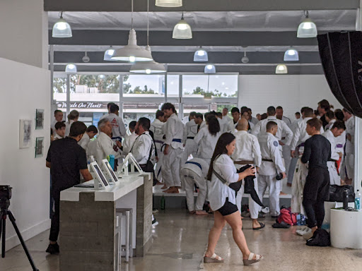 Art of Jiu Jitsu Academy image