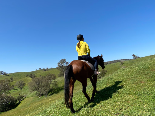 Horse riding courses Adelaide