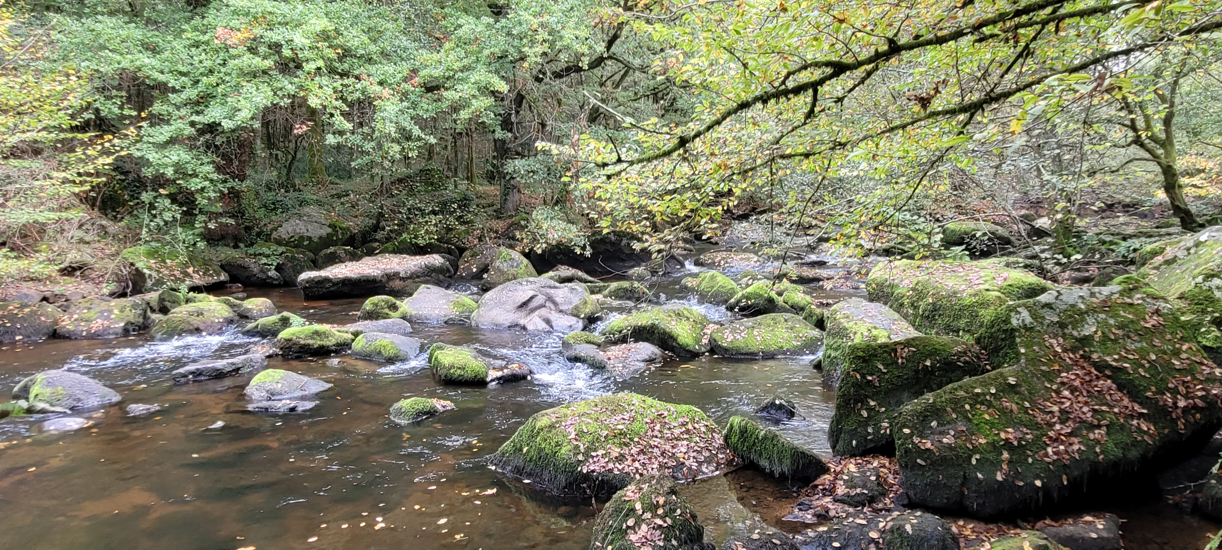 Photo n° 17 de l'avis de Christian.a fait le 30/10/2022 à 11:08