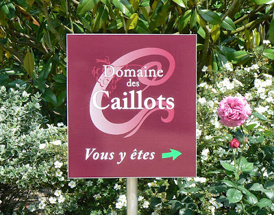 "DOMAINE des CAILLOTS" Dominique GIRAULT à Noyers-sur-Cher