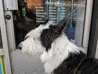 Paws on Pineapple - Photo 4 - Car repair in Brooklyn, NY, Brooklyn