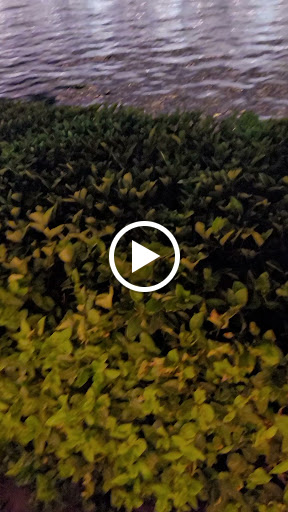 Luxury Hotel «Bellagio Hotel and Casino», reviews and photos, 3600 S Las Vegas Blvd, Las Vegas, NV 89109, USA