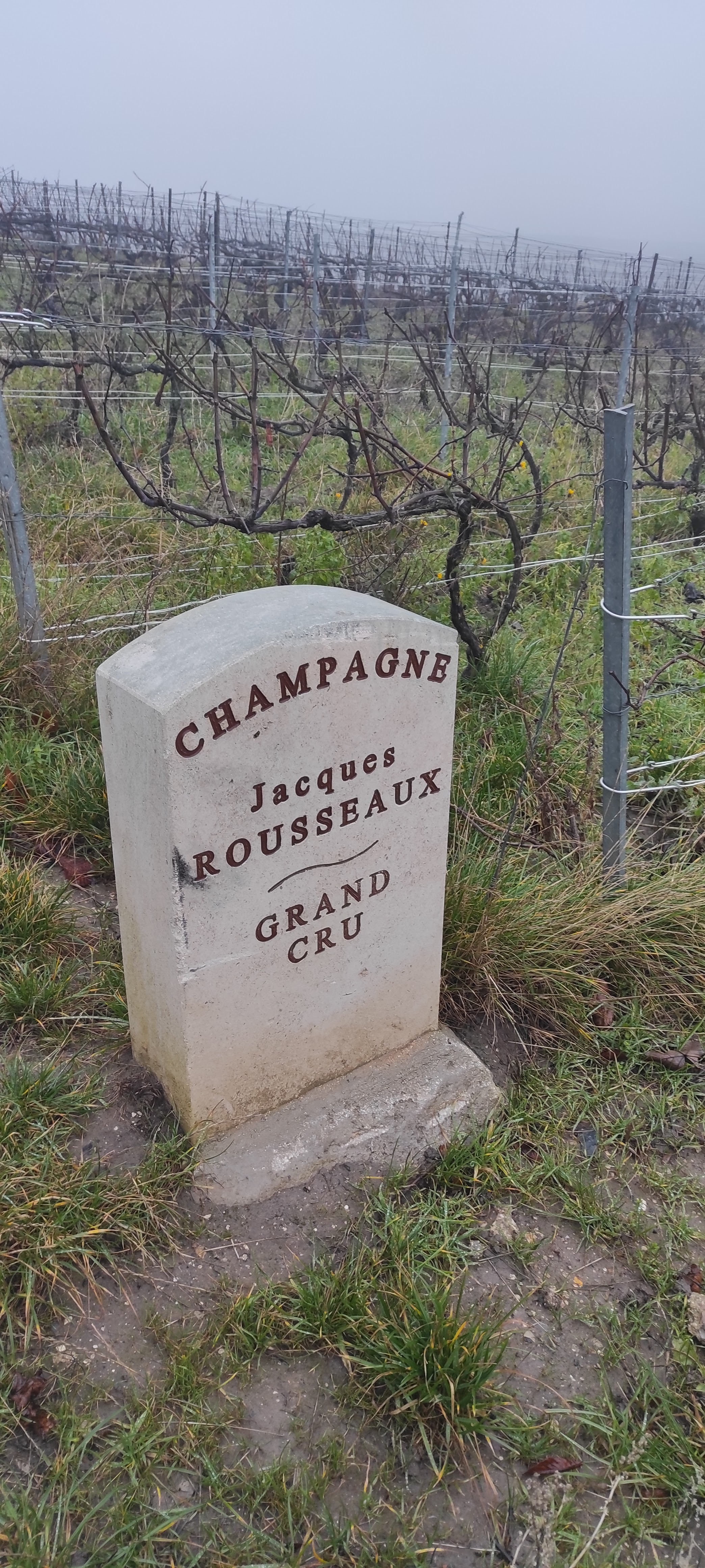 Photo n° 2 de l'avis de Tiniquaise.l fait le 29/12/2021 à 16:24