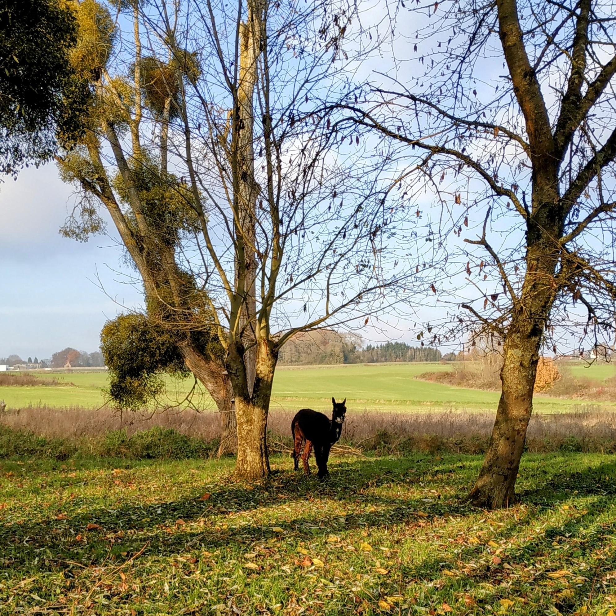 Photo n° 15 de l'avis de The.a fait le 12/12/2022 à 16:29