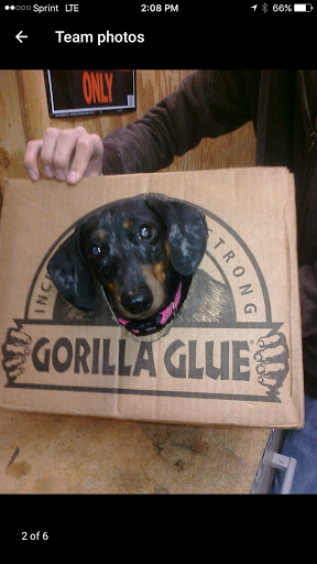 Home Improvement Store «Collier True Value Hardware & Synthetic YardScapes», reviews and photos, 1970 NE 45th St, Oakland Park, FL 33308, USA