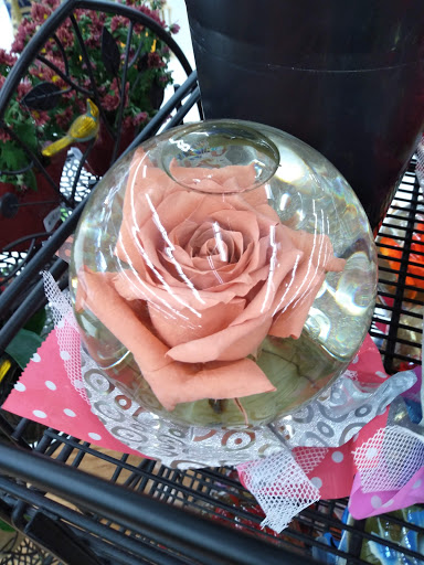 Grocery Store «Winn-Dixie», reviews and photos, 4512 FL-20, Niceville, FL 32578, USA