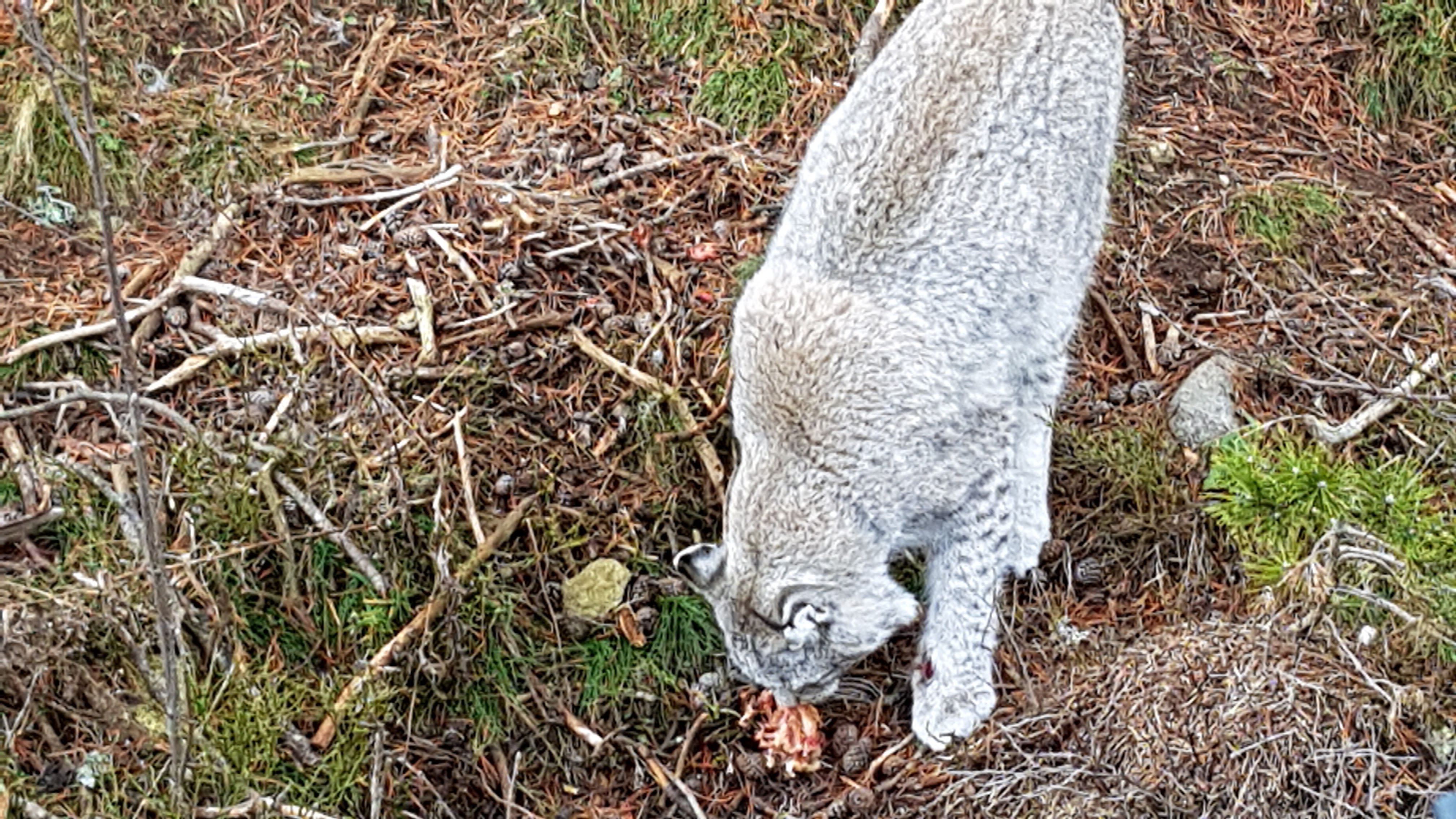 Photo n° 5 de l'avis de Nikolay.H fait le 26/12/2018 à 23:51