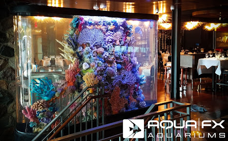 Aqua FX Aquariums
