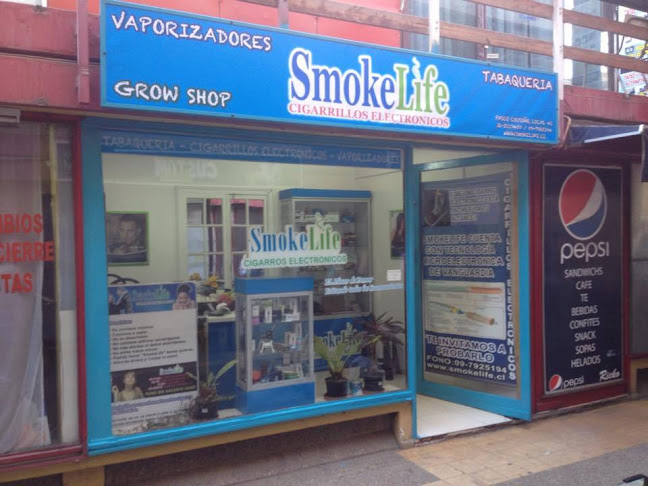 Smokelife - Tabaqueria & Cigarrillos Electronicos Viña del Mar Chile - Tienda