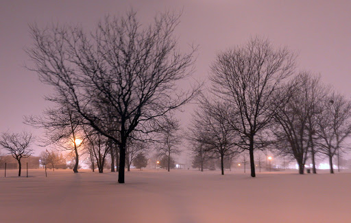 Park «Oak Lawn Park District», reviews and photos, 9401 Oak Park Ave, Oak Lawn, IL 60453, USA