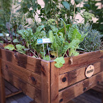 Photo n°3 de l'avis de chiara.a fait le 12/09/2021 à 16:19 sur le  Munus à Bardolino