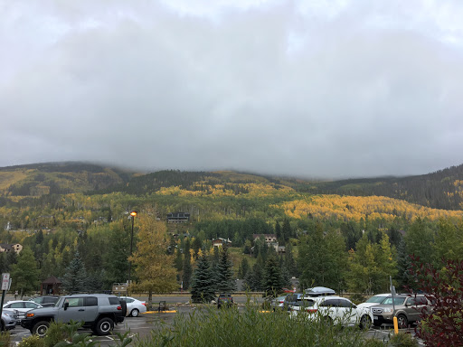 Grocery Store «Safeway», reviews and photos, 2131 N Frontage Rd W, Vail, CO 81657, USA