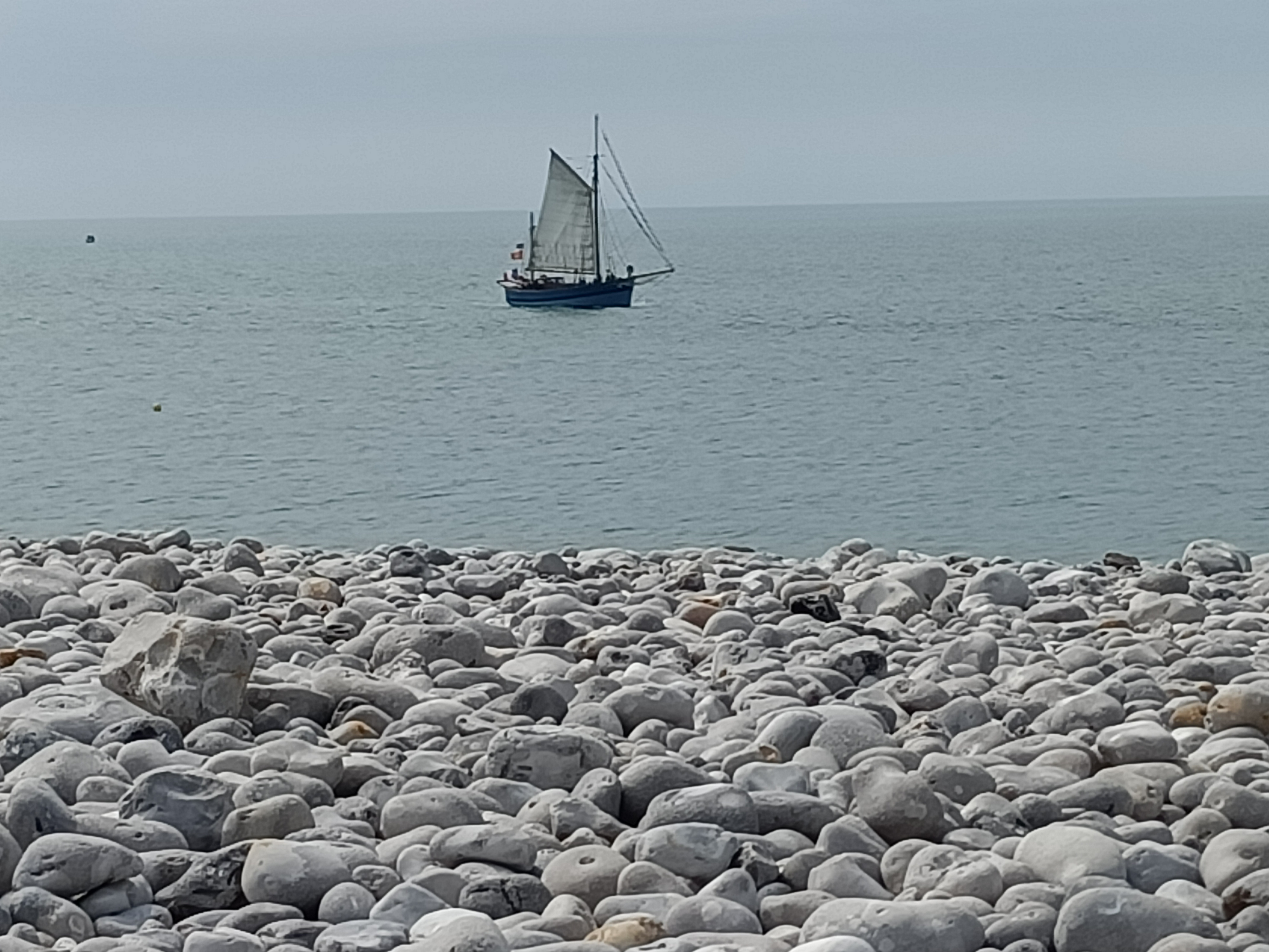 Photo n° 1 de l'avis de sabrina.a fait le 20/06/2021 à 15:12