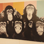 Photo n°7 de l'avis de Almulkdaewatan.a fait le 13/02/2023 à 21:12 sur le  ibis Saarbruecken City à Saarbrücken