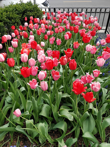 Art Museum «Museum Of Contemporary Art Chicago», reviews and photos, 220 E Chicago Ave, Chicago, IL 60611, USA