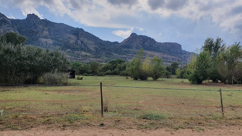 Les chevaux de la roquette à Roquebrune-sur-Argens