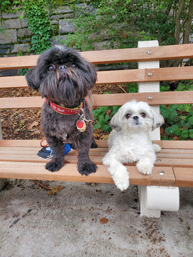 Park «Carl Schurz Park», reviews and photos, East 86th Street & East End Ave, New York, NY 10028, USA