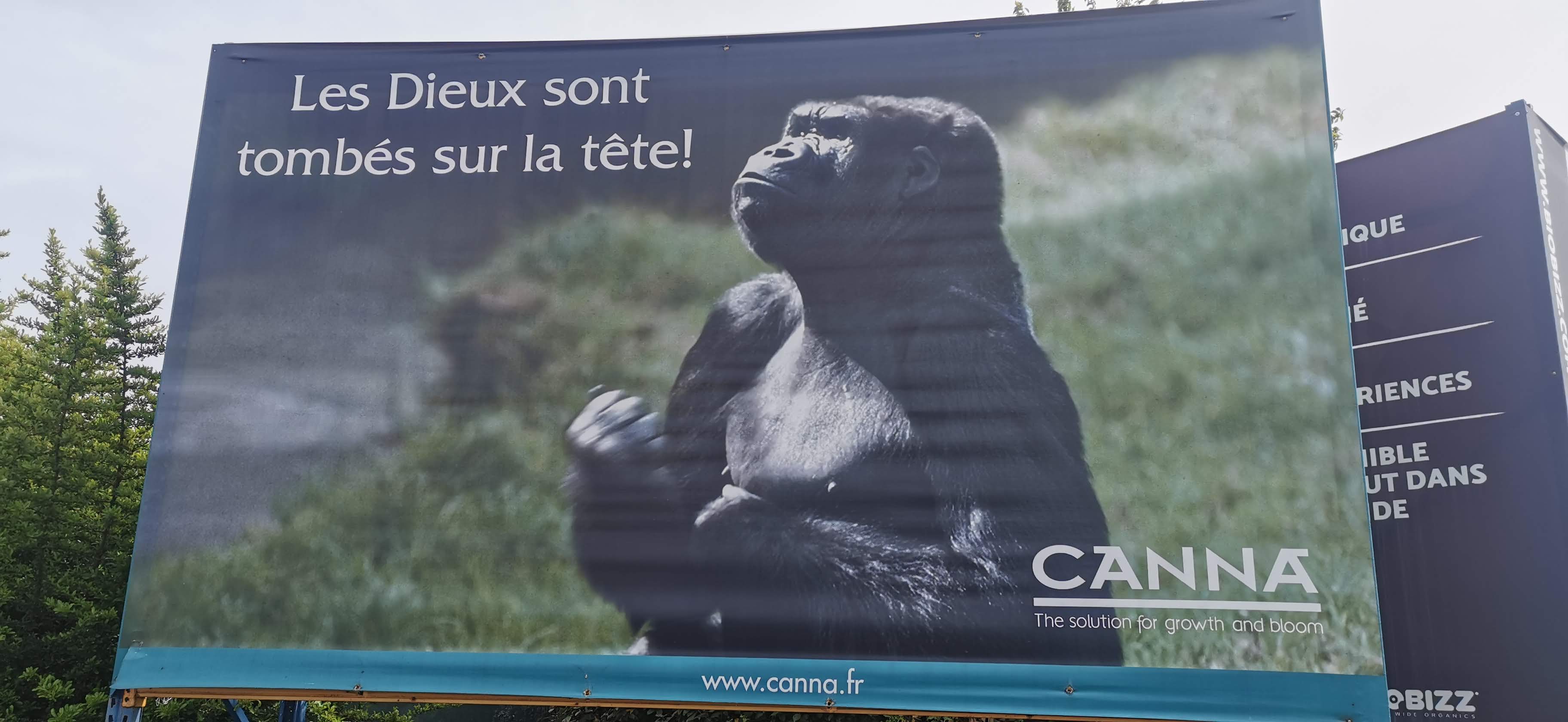 Photo n° 1 de l'avis de Daniel.e fait le 19/07/2019 à 13:54