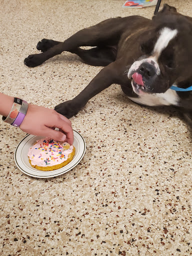 Pet Groomer «Complete Canine Care Center», reviews and photos, 1280 County Hwy B, Shawano, WI 54166, USA