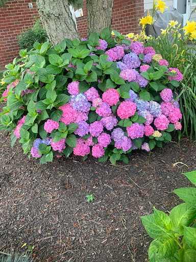 Park «Savin Rock Park», reviews and photos, 435 Captain Thomas Blvd, West Haven, CT 06516, USA