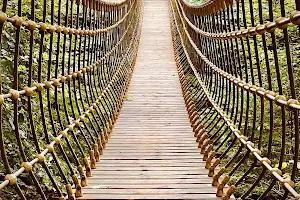 Hängebrücke Kühhude image