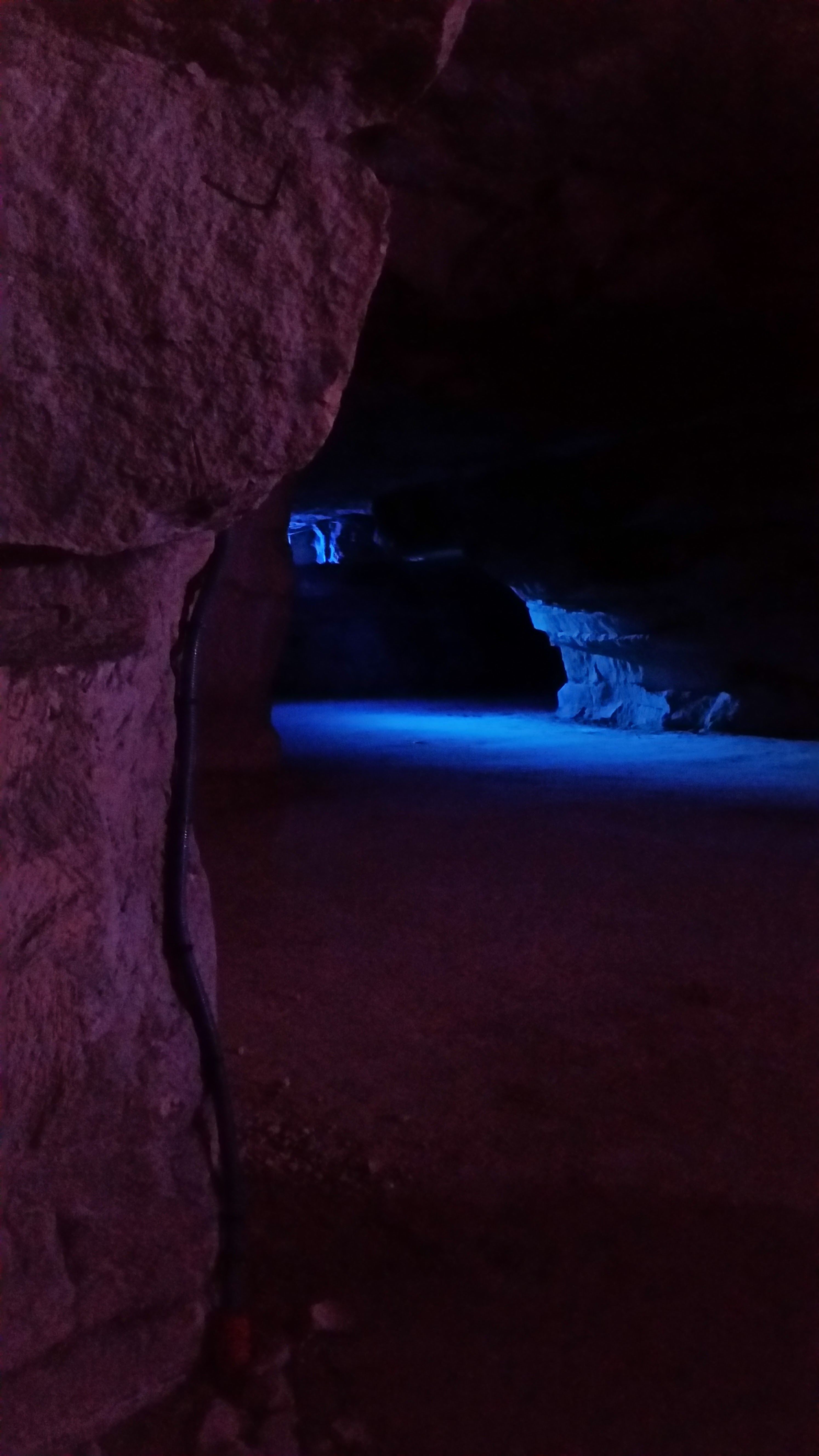 Photo n° 4 de l'avis de Gwenaelle.a fait le 26/09/2018 à 09:25