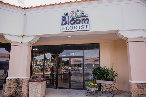 Florist «In Bloom Florist - Heathrow, Florida», reviews and photos, 1210 International Pkwy, Lake Mary, FL 32746, USA