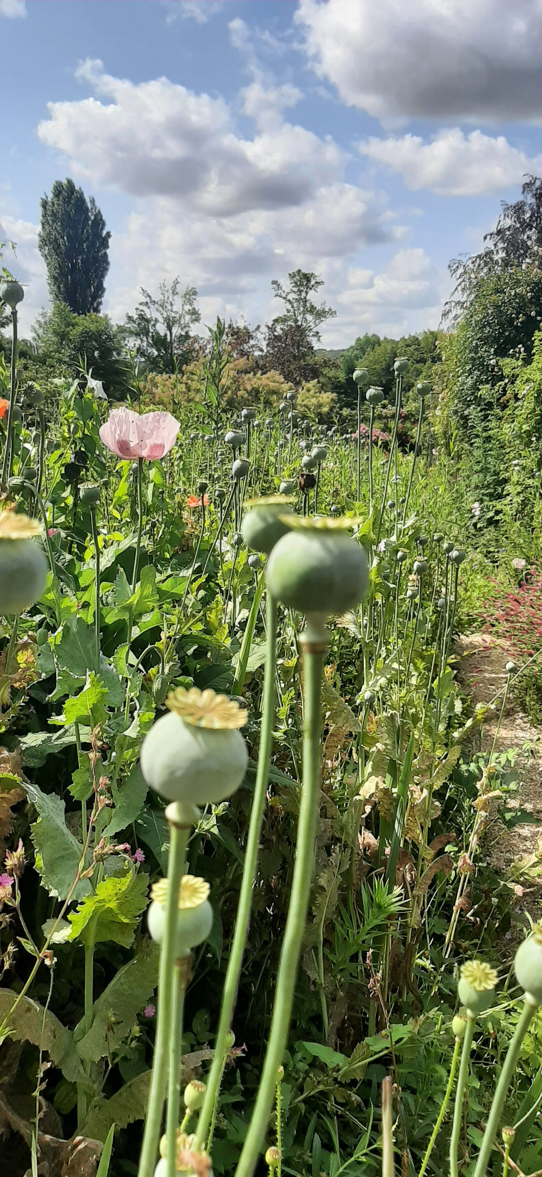 Photo n° 3 de l'avis de Machiel.a fait le 14/07/2023 à 14:58