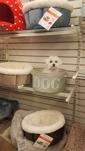 Department Store «HomeGoods», reviews and photos, 344 W Army Trail Rd, Bloomingdale, IL 60108, USA