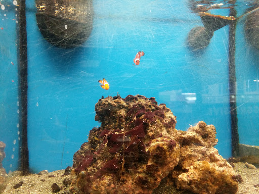 Pet Supply Store «Petco Animal Supplies», reviews and photos, 516 Valley Mall Pkwy, East Wenatchee, WA 98802, USA