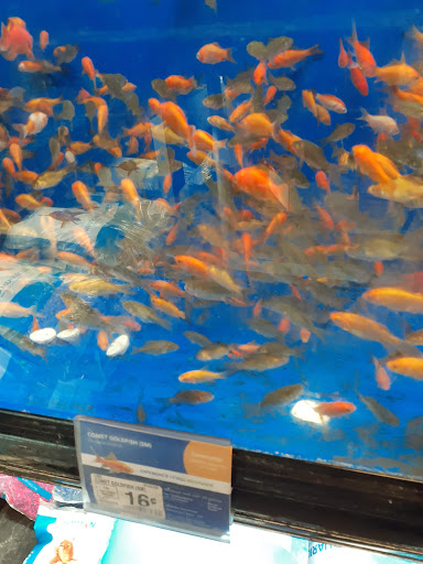 Pet Supply Store «PetSmart», reviews and photos, 1380 Fitzgerald Dr, Pinole, CA 94564, USA