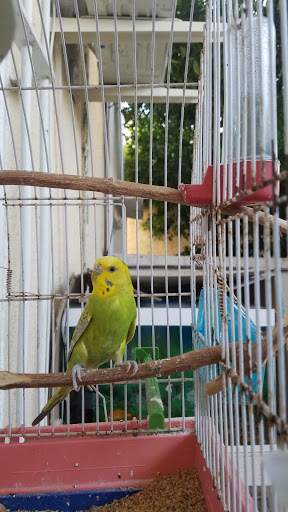 Pet Supply Store «PetSmart», reviews and photos, 5640 Cedar Lake Rd, Minneapolis, MN 55416, USA