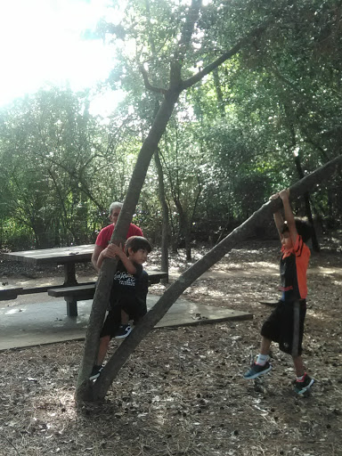 Park «Cy-Champ Park», reviews and photos, 14619 Cutten Rd, Houston, TX 77070, USA