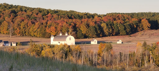 Tourist Attraction «Dune Climb», reviews and photos, 6748 S Dune Hwy, Glen Arbor, MI 49636, USA