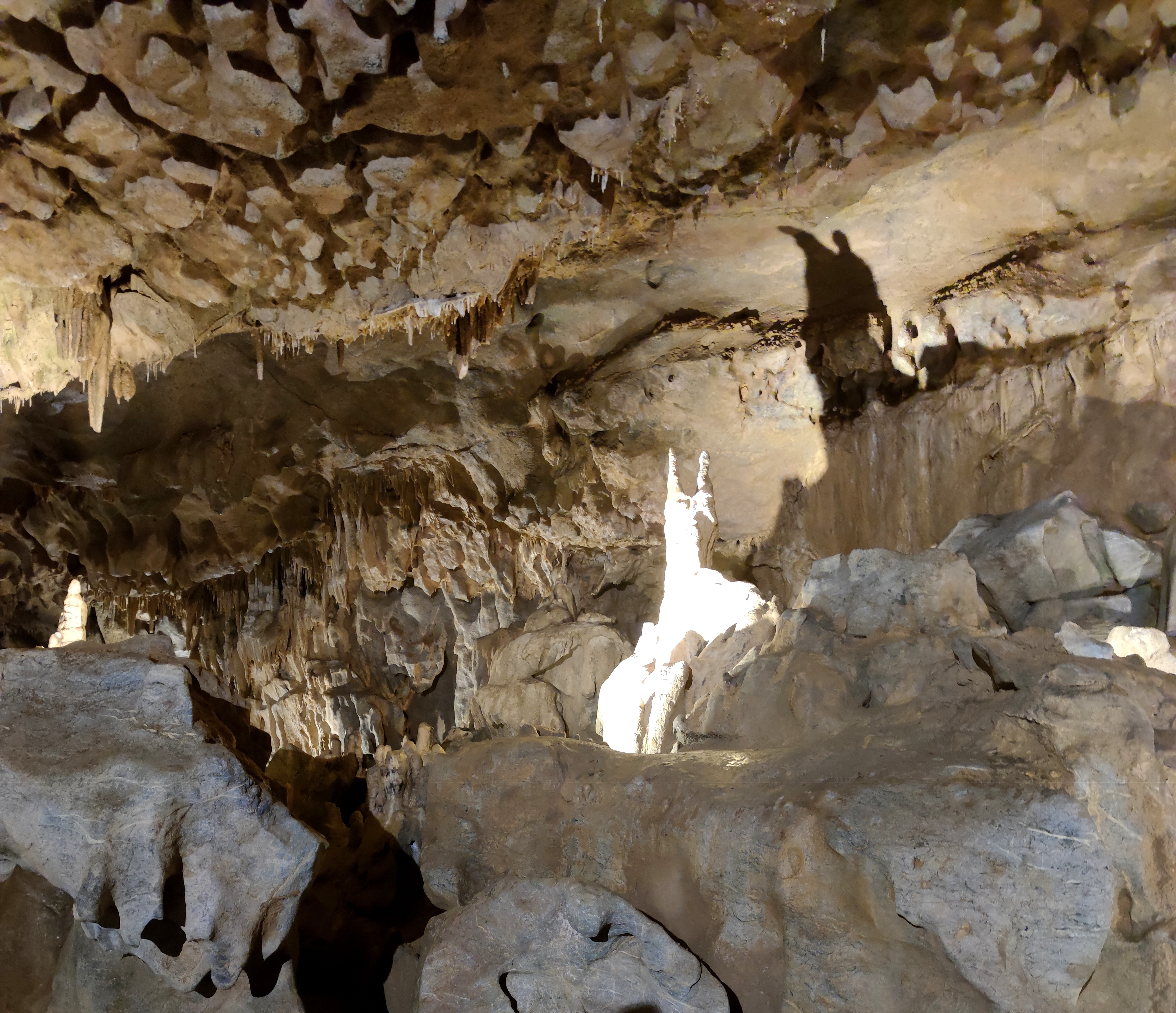 Photo n° 15 de l'avis de Martine.e fait le 07/07/2022 à 13:50