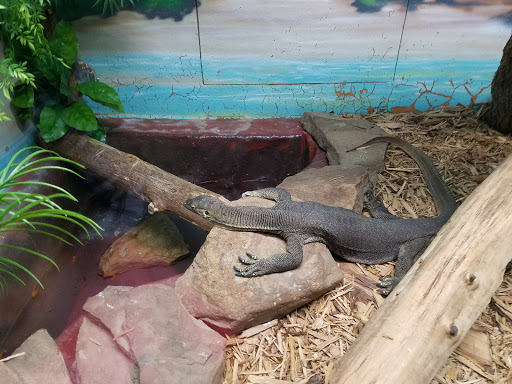 Auto Parts Store «Advance Auto Parts», reviews and photos, 1001 E Black Horse Pike, Pleasantville, NJ 08232, USA