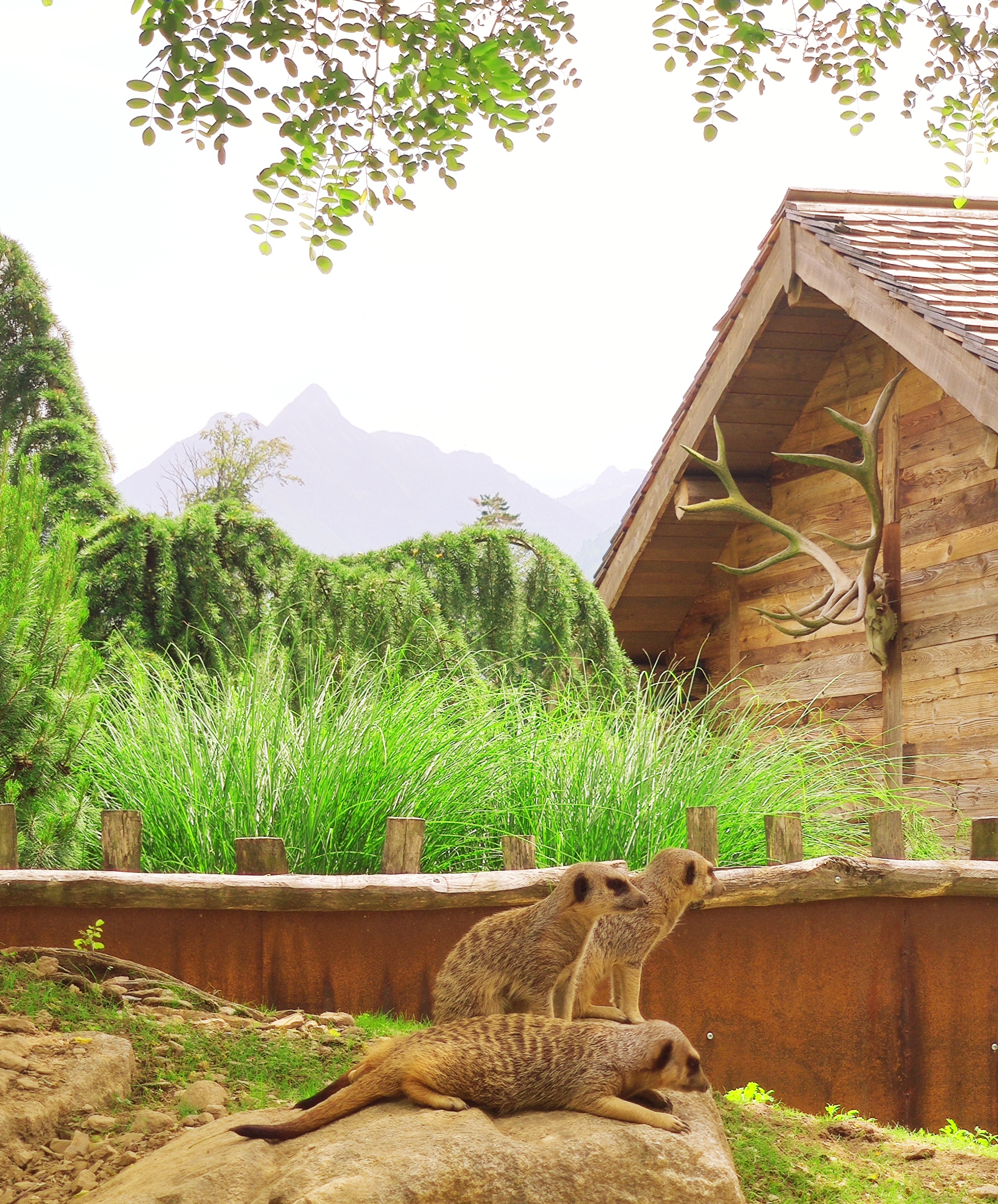 Photo n° 8 de l'avis de Yann.a fait le 29/07/2023 à 09:41