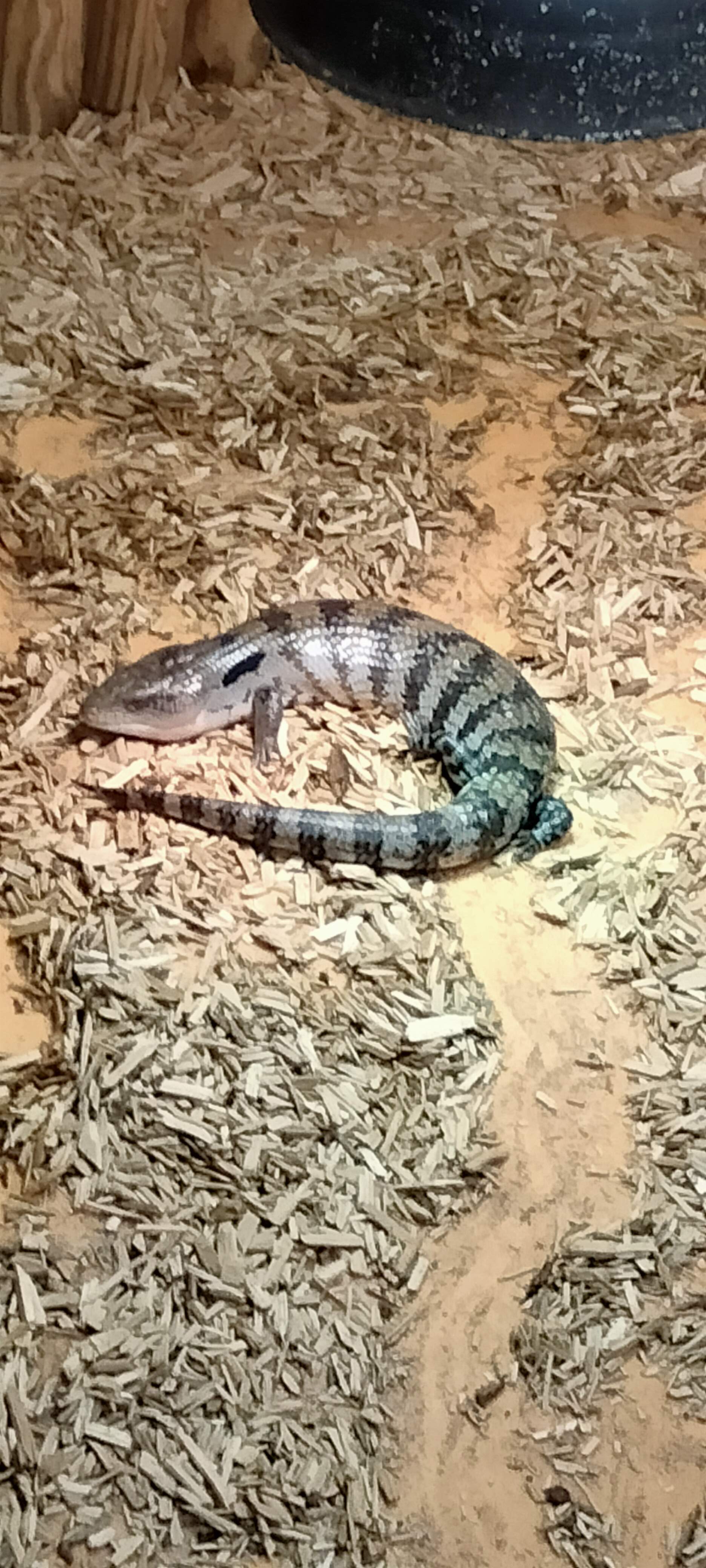 Photo n° 7 de l'avis de Dany.u fait le 19/03/2023 à 19:21