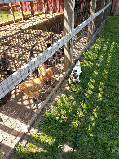 Nature Preserve «DeVries Nature Conservancy», reviews and photos, 2635 N Michigan 52, Owosso, MI 48867, USA