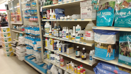 Home Improvement Store «Tractor Supply Co.», reviews and photos, 100 W Ardice Ave #1, Eustis, FL 32726, USA