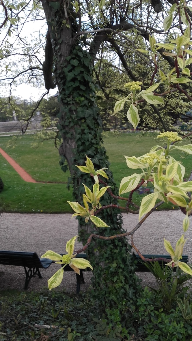 Photo n° 17 de l'avis de Jane.e fait le 10/04/2021 à 15:17