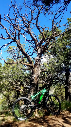 Bicycle Store «Vail Bike Hub», reviews and photos, 278 Hanson Ranch Rd, Vail, CO 81657, USA